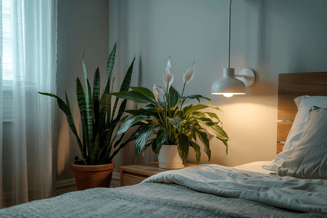 Bedroom Feng Shui Layout: A Practical Guide for UK Homes