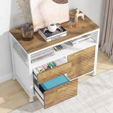 Tribesigns Modern File Cabinet with Drawers, Lateral Filing Cabinet Printer Stand with Storage Shelves and Rolling Casters for Home Office 3