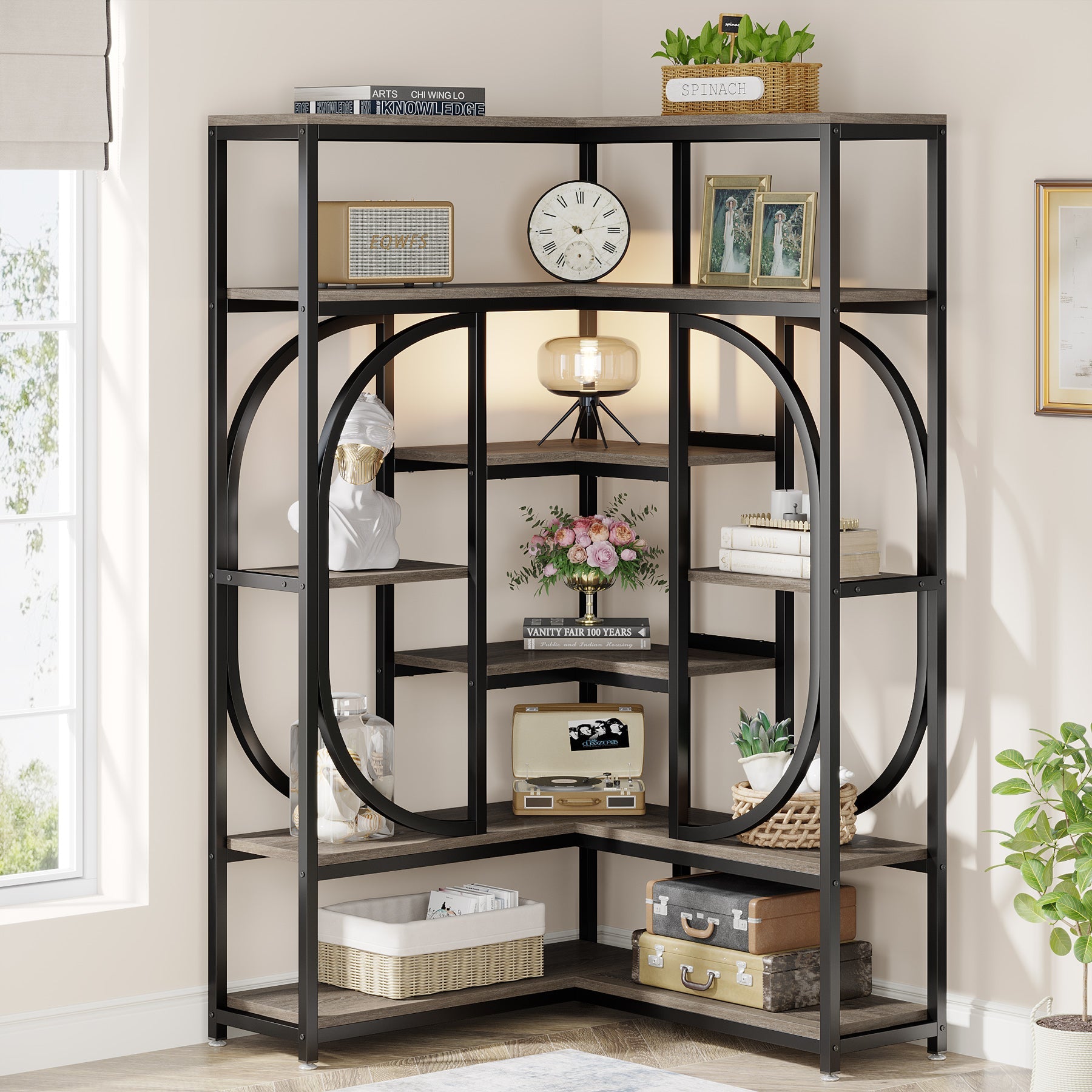 Tribe signs store vanity